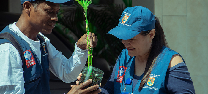 Autoridad sanitaria realiza acciones para prevenir y controlar enfermedades de transmisi&oacute;n vectorial