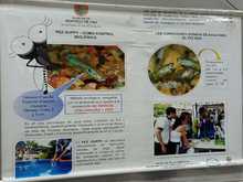 Instituciones educativas reciben informaci&oacute;n y comunicaci&oacute;n para prevenir el dengue