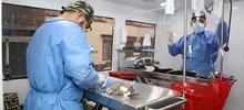 Once tr&aacute;mites gratuitos y cuatro con costo se prestan desde la Secretar&iacute;a de Salud P&uacute;blica 