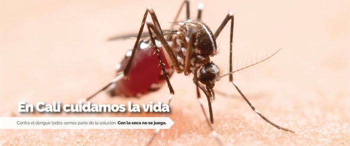 La &lsquo;guerra&rsquo; contra el dengue se gana trabajando en equipo