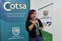 El Consejo Territorial de Salud Ambiental &ndash;Cotsa- present&oacute; sus avances de cara al plan Distrital de Desarrollo 2024 &ndash; 2027