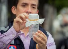 &iexcl;La lucha contra el dengue no se detiene! Con liberaciones de mosquitos avanza en Cali la IV fase de la estrategia Wolbachia 