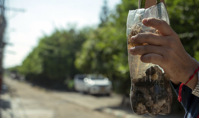 Cali se prepara ante la situaci&oacute;n de alerta nacional por fiebre amarilla
