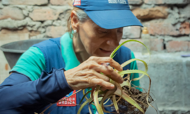 M&aacute;s de 48.000 acciones epidemiol&oacute;gicas en 2025 han sido clave para que Cali mantenga el dengue bajo control