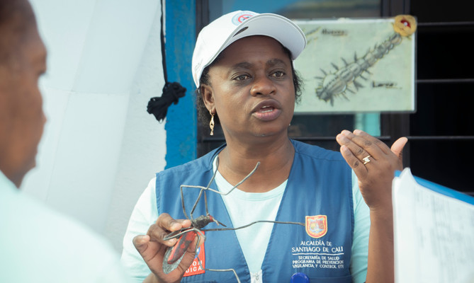 &iquest;El zumbido de los mosquitos tiene un prop&oacute;sito m&aacute;s all&aacute; de molestarnos? Descubre su funci&oacute;n y c&oacute;mo Cali controla el dengue