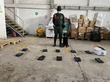 Autoridades incautaron m&aacute;s de 53 mil gramos de marihuana en el sector de Los Chorros