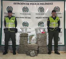 Autoridades incautaron m&aacute;s de 53 mil gramos de marihuana en el sector de Los Chorros