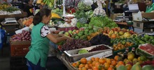 Precios de la canasta familiar permanecen estables