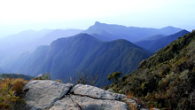 Cali blinda a sus Farallones, una &lsquo;mina de oro&rsquo; para la biodiversidad