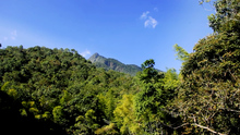 Cali blinda a sus Farallones, una &lsquo;mina de oro&rsquo; para la biodiversidad