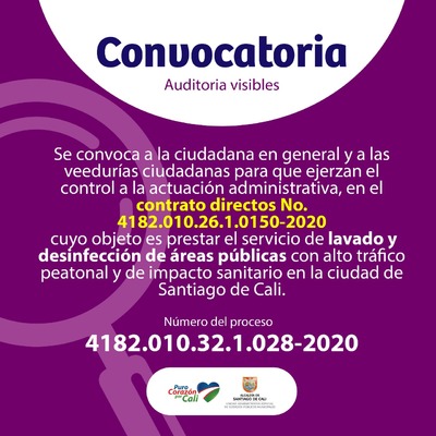 VEEDURIAS CIUDADANAS CIUDADANA EN GENERAL