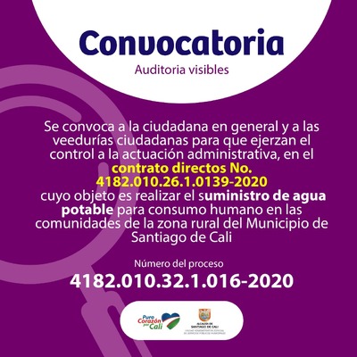 VEEDURIAS CIUDADANAS- CIUDADANA EN GENERAL