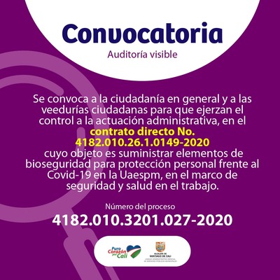 Veedur&iacute;as Ciudadanas