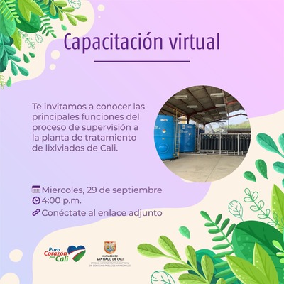 Capacitaci&oacute;n virtual