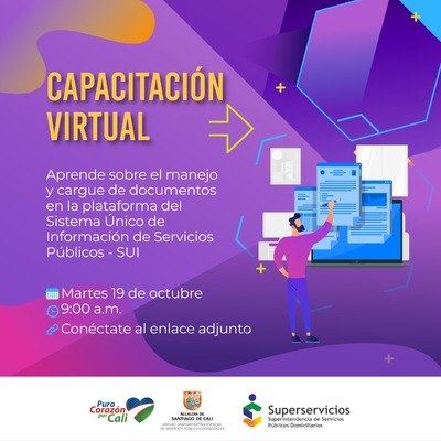 Capacitaci&oacute;n virtual