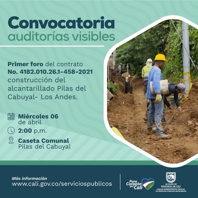 Convocatoria auditor&iacute;as visibles
