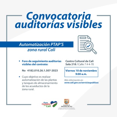 Foro de Auditorias Visibles 