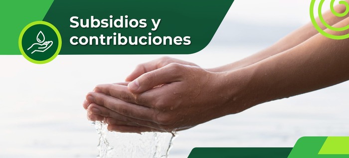 Subsidios y contribuciones