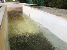 PTAP La Soledad con Agua Potable - corregimiento La Buitrera