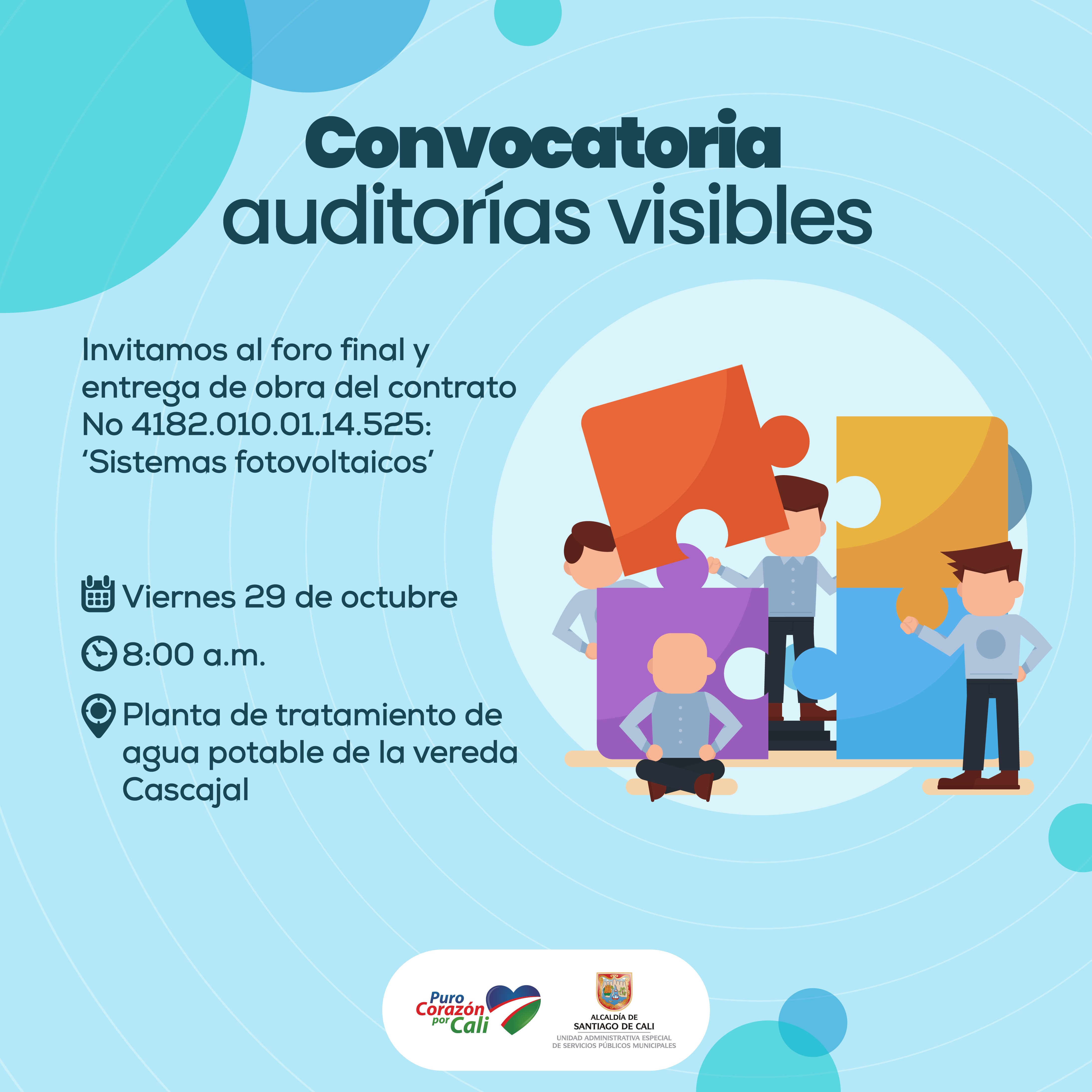 Convocatoria a Auditoría Visible en Cascajal