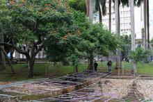 Empieza a tomar forma el Alumbrado Navide&ntilde;o 