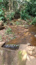 Recomendaciones para el uso optimo del agua en zona rural de Cali durante esta temporada seca