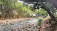 Continuamos recuperando la ciudad: ocho metros c&uacute;bicos de residuos fueron evacuados del r&iacute;o Cali
