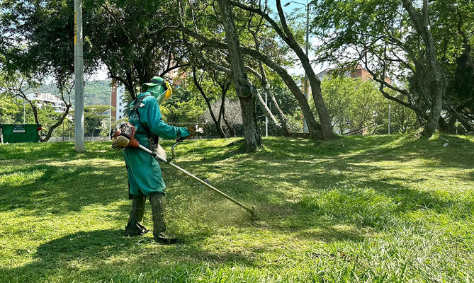 El corte de c&eacute;sped siempre ha estado activado en Cali: a la fecha se han intervenido 71 millones de metros cuadrados de zonas verdes