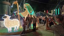 Las familias en Cali comparten y gozan el &lsquo;Alumbrado Navide&ntilde;o&rsquo;