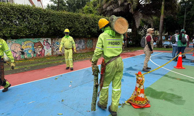 Cali fortalece la seguridad en sus parques con poda de &aacute;rboles y las cuadrillas de zonas verdes de Promo Valle