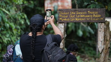 Se inicia concurso de realizaci&oacute;n de videos verticales con tem&aacute;tica ambiental, Cali en un reel