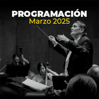 Vive los clásicos: música, ballet y percusión en el Teatro Municipal