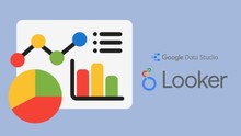Logo Looker2