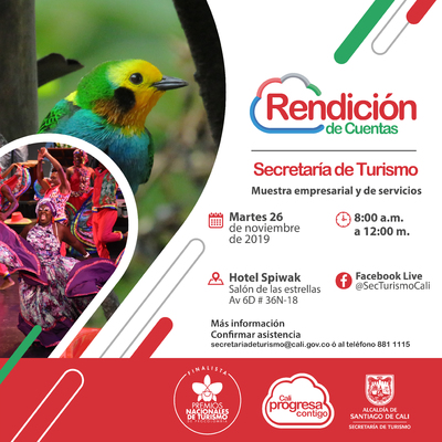 &Uacute;ltima Rendici&oacute;n de Cuentas 2019