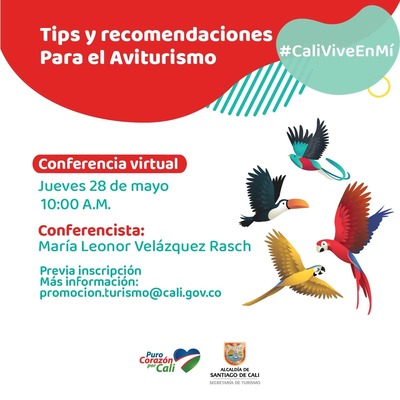Tips y recomendaciones para el avisturismo