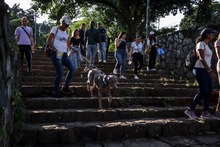 Recorrido cultural en San Antonio: mascotas hicieron parte de la celebraci&oacute;n del &lsquo;D&iacute;a Mundial del Turismo&rsquo;