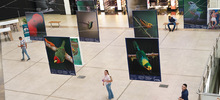 Majestuosas fotograf&iacute;as hacen presencia en el primer encuentro de &lsquo;Cali,  Ciudad de las Aves&rsquo;