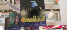 Majestuosas fotograf&iacute;as hacen presencia en el primer encuentro de &lsquo;Cali,  Ciudad de las Aves&rsquo;