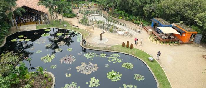 Jard&iacute;n Bot&aacute;nico de Cali, un nuevo atractivo natural en la &lsquo;sucursal del cielo&rsquo;