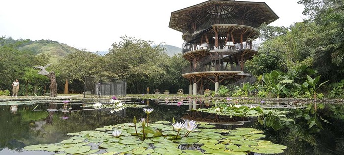 Alcald&iacute;a de Cali y el Instituto Humboldt unir&aacute;n esfuerzos para potencializar a Cali como capital de la biodiversidad