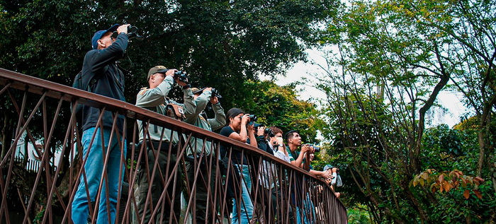 Aficionados a las aves disfrutaron durante el &lsquo;Global Big Day&rsquo; la  biodiversidad que ofrece el corredor del r&iacute;o Cali