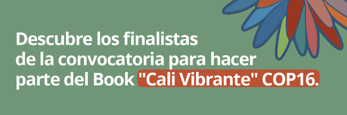 Convocatoria Cali vibrante COP16