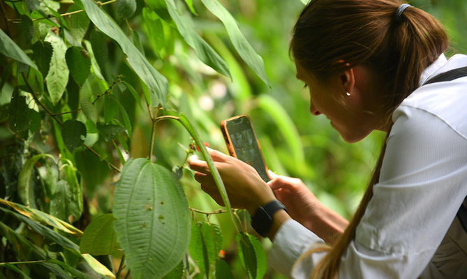 Secretar&iacute;a de Turismo lanza Incubadora de Proyectos Tur&iacute;sticos - Cap&iacute;tulo de Naturaleza: conoce los t&eacute;rminos para participar