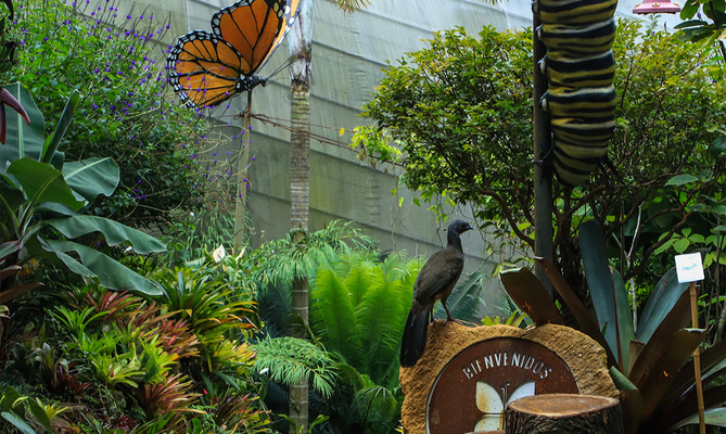 Estos son nuestros primeros ganadores de la Incubadora de Proyectos Tur&iacute;sticos - Cap&iacute;tulo Turismo de Naturaleza