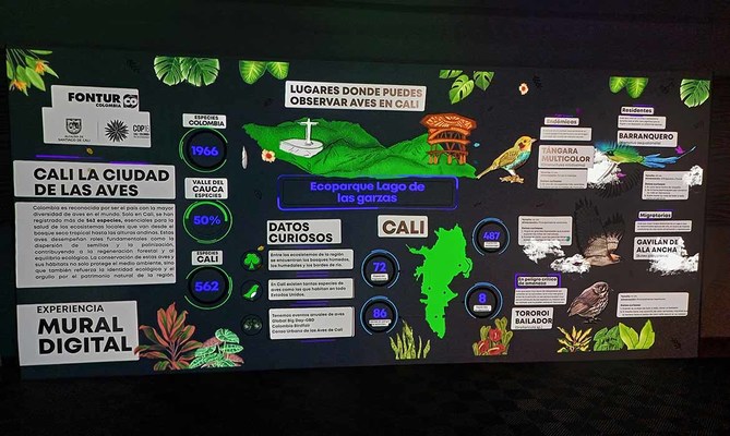 Cali tendr&aacute; su primer museo digital de la biodiversidad &lsquo;Cali es donde debes estar&rsquo;