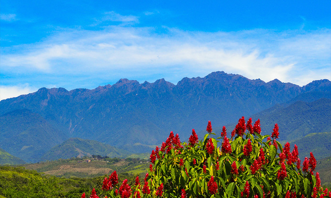 Vive un d&iacute;a de deporte, cultura y naturaleza en el Farallones Fest 2024