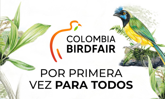 Por primera vez, la Colombia Birdfair es para todos: programaci&oacute;n gratuita en la Plaza de Cayzedo el 15 y 16 de febrero