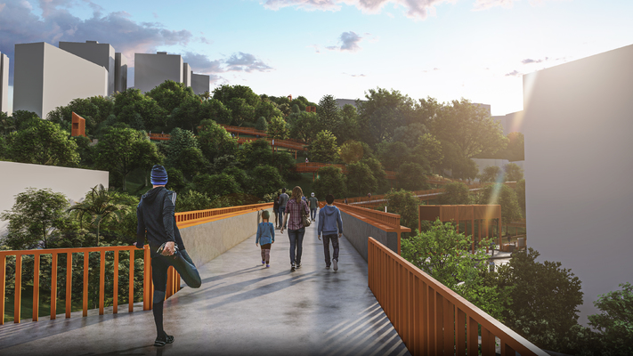 6 PASARELA CONEXION PARQUE ARBORETUM