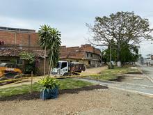 Comenz&oacute; el traslado de &aacute;rboles en el Bulevar de Oriente