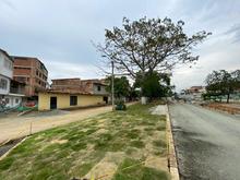 El Bulevar de Oriente crece y dos ceibas m&aacute;s crecer&aacute;n con &eacute;l